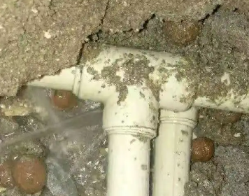 榆树测漏水多少钱